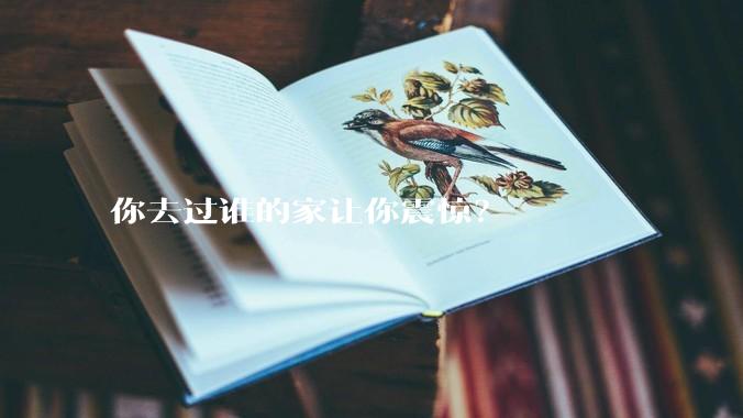 你去过谁的家让你震惊？